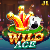 Wild Ace slot on TablePlus Login